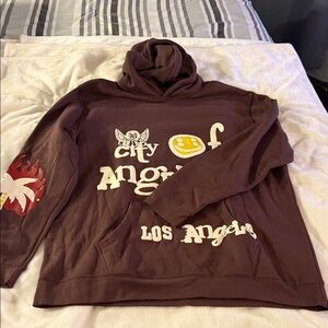 PacSun Brown Graphic Hoodie